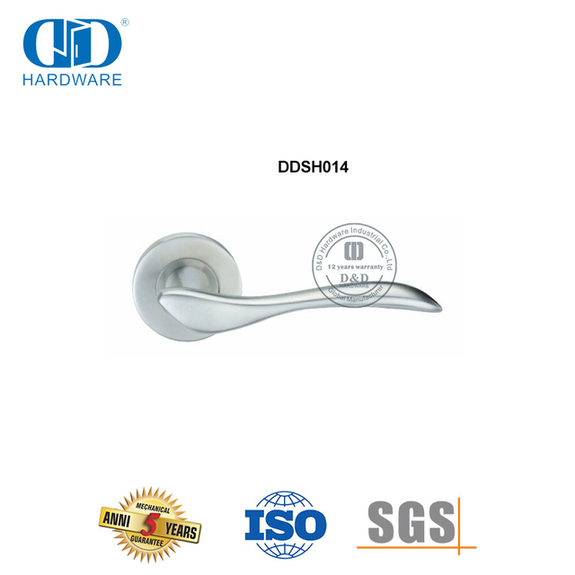 Твердая литая дверная ручка из нержавеющей стали с рычагом-DDSH014-SSS