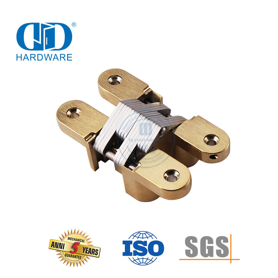 Скрытая петля из атласной латуни из цинкового сплава с мягким закрыванием для металлической двери-DDCH007