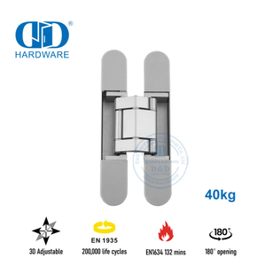 EN1935 Противопожарная 3D-невидимая дверная петля для офисного здания-DDCH008-G40